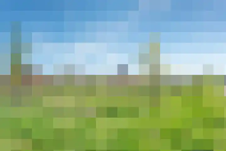 Tijm 19 Hardenberg thumbnail 6