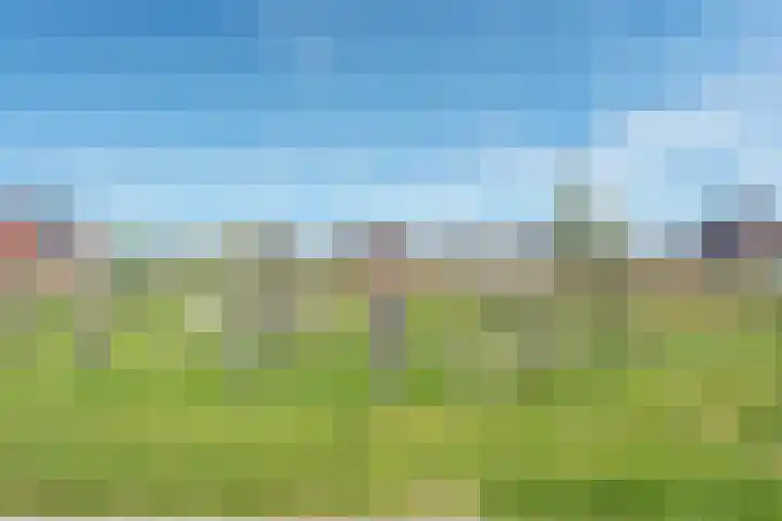 Tijm 19 Hardenberg thumbnail 7
