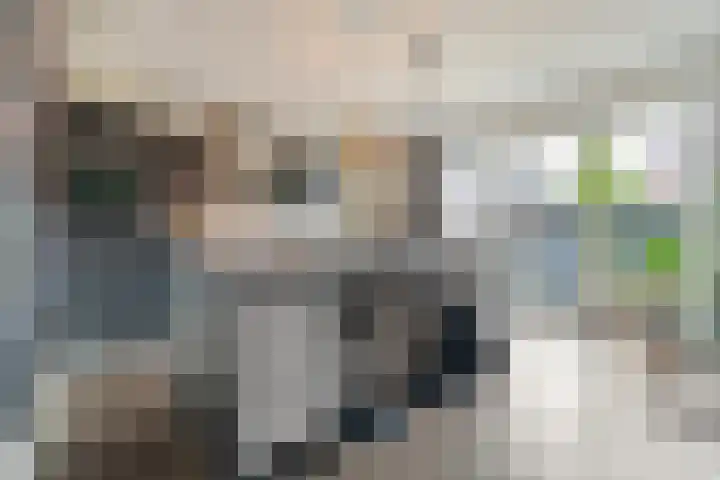 Tijm 20 Hardenberg thumbnail 14