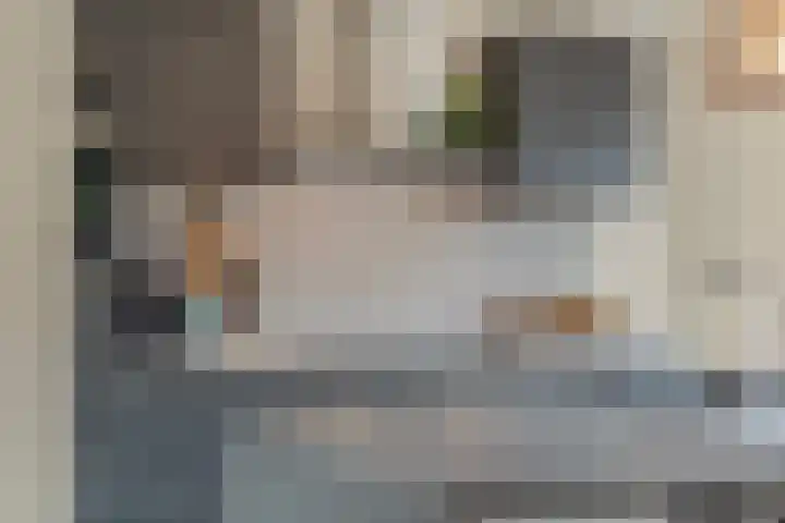 Tijm 20 Hardenberg thumbnail 19