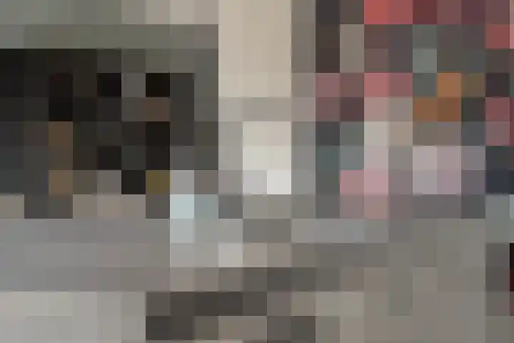Tijm 20 Hardenberg thumbnail 20