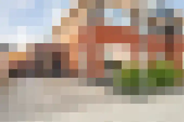 Tijm 20 Hardenberg foto 3