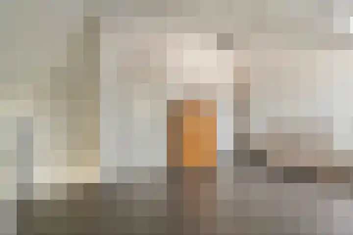 Tijm 20 Hardenberg thumbnail 41