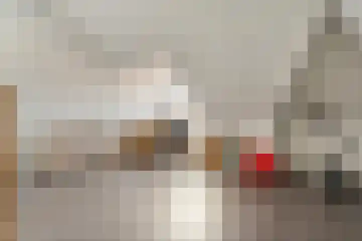 Tijm 20 Hardenberg thumbnail 42