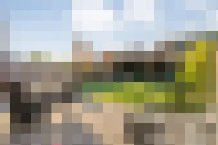 Tijm 20 Hardenberg thumbnail 46
