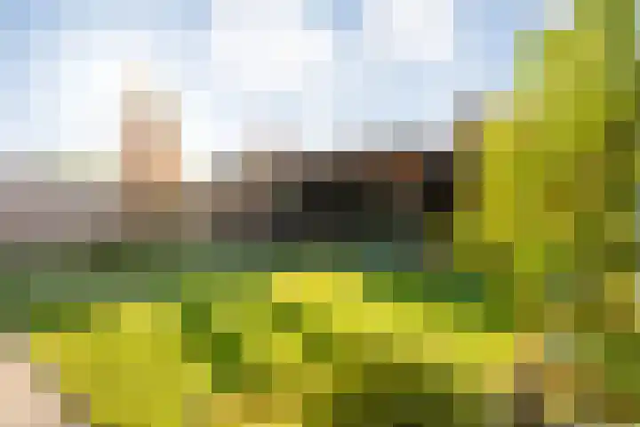 Tijm 20 Hardenberg thumbnail 47