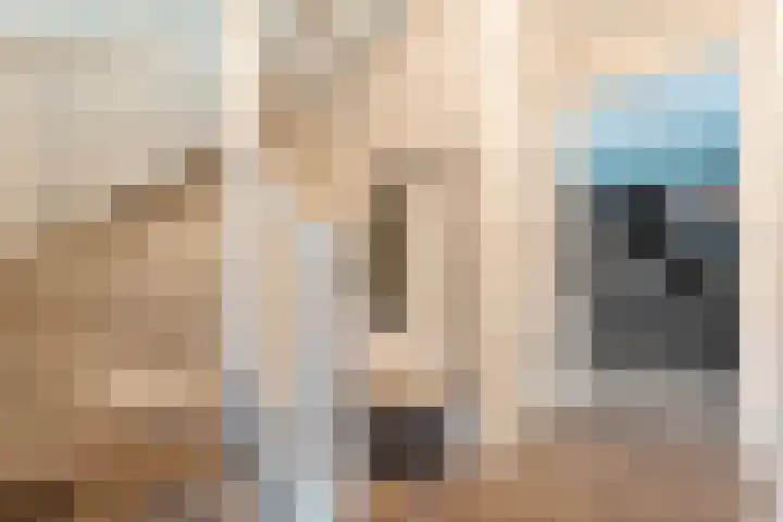 Tijm 20 Hardenberg thumbnail 5