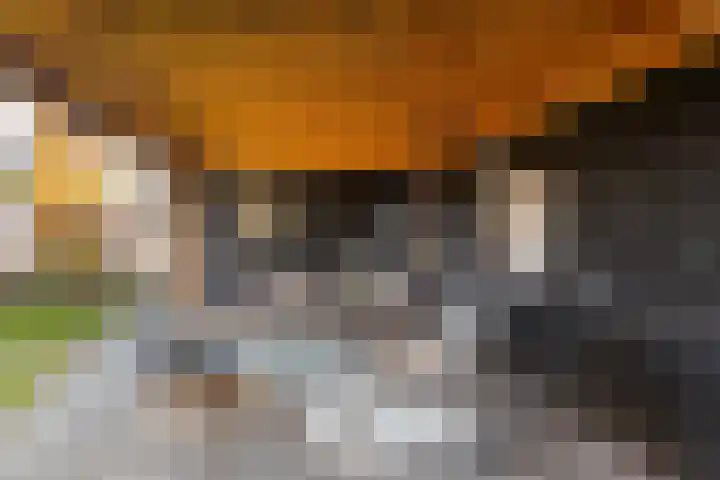 Tijm 20 Hardenberg thumbnail 50
