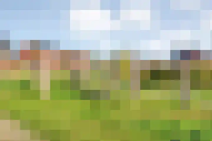 Tijm 20 Hardenberg thumbnail 53