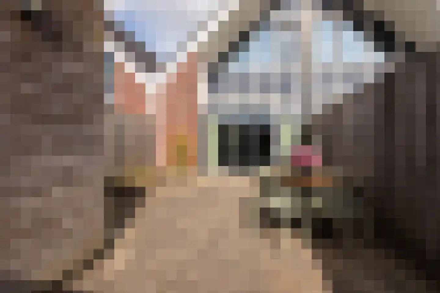 Tijm 24 Heerhugowaard thumbnail 17
