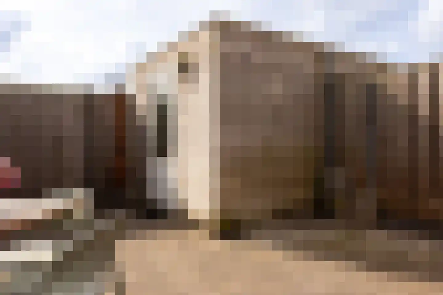 Tijm 24 Heerhugowaard thumbnail 18