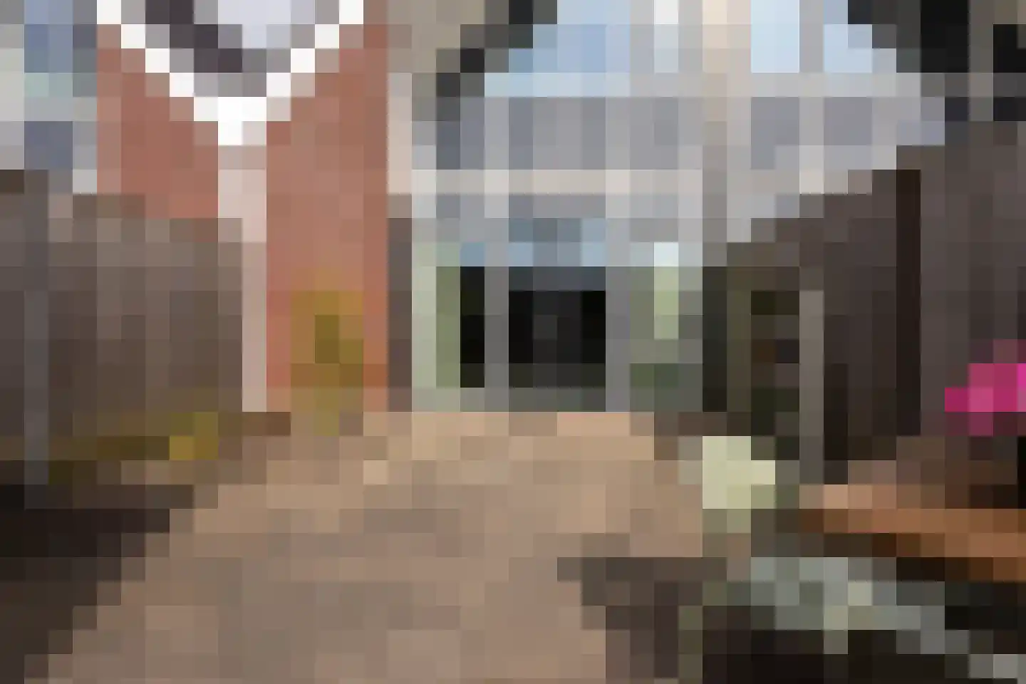 Tijm 24 Heerhugowaard thumbnail 19