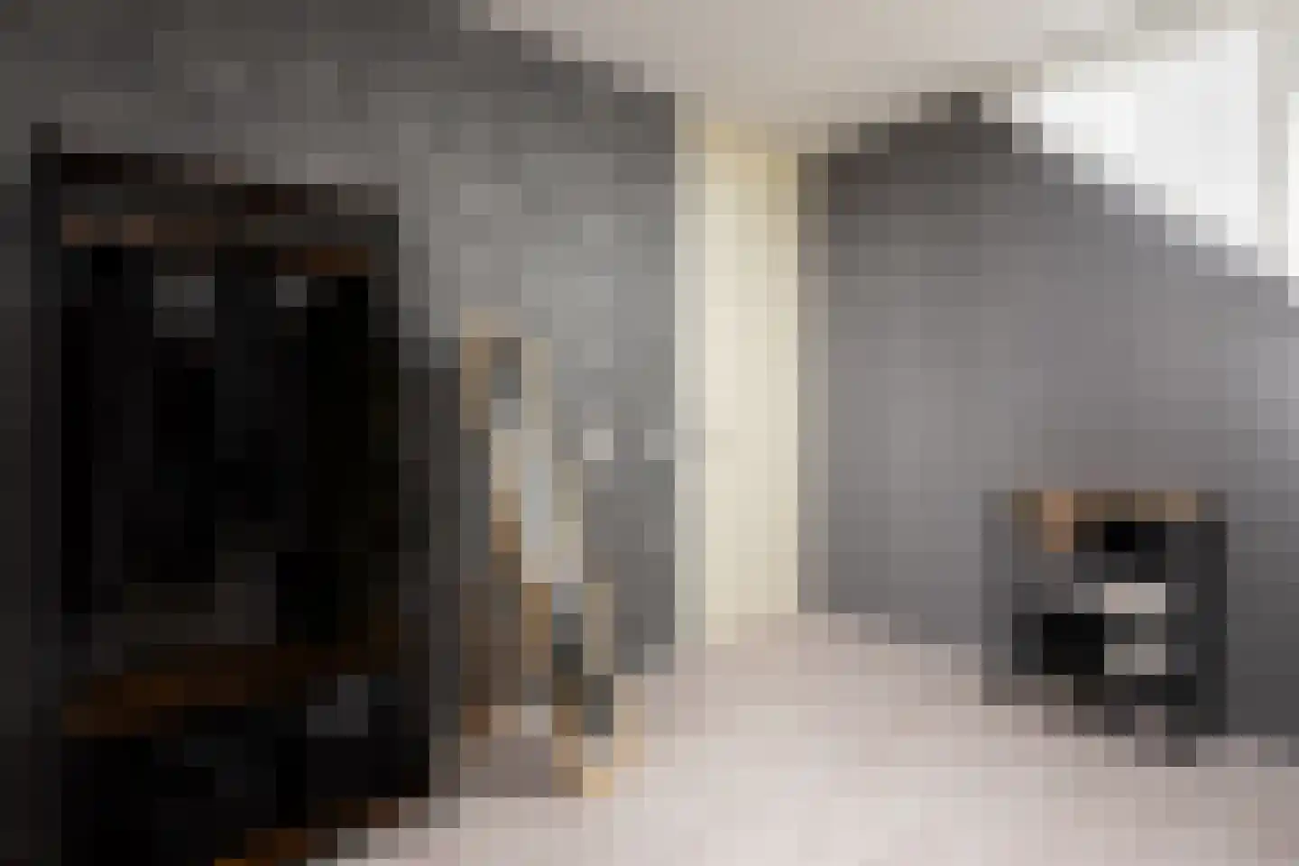 Tijm 24 Heerhugowaard thumbnail 31