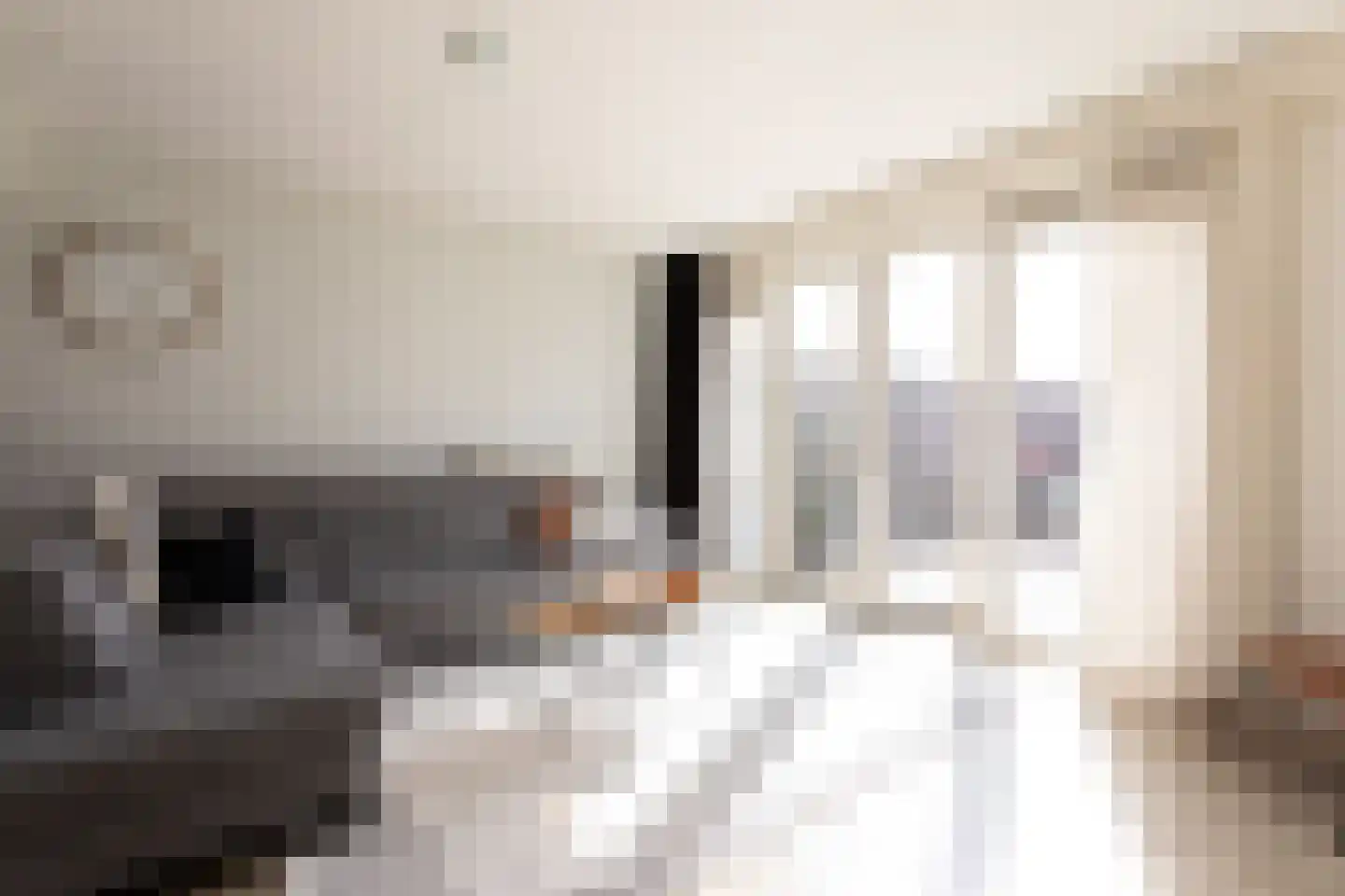 Tijm 24 Heerhugowaard thumbnail 5