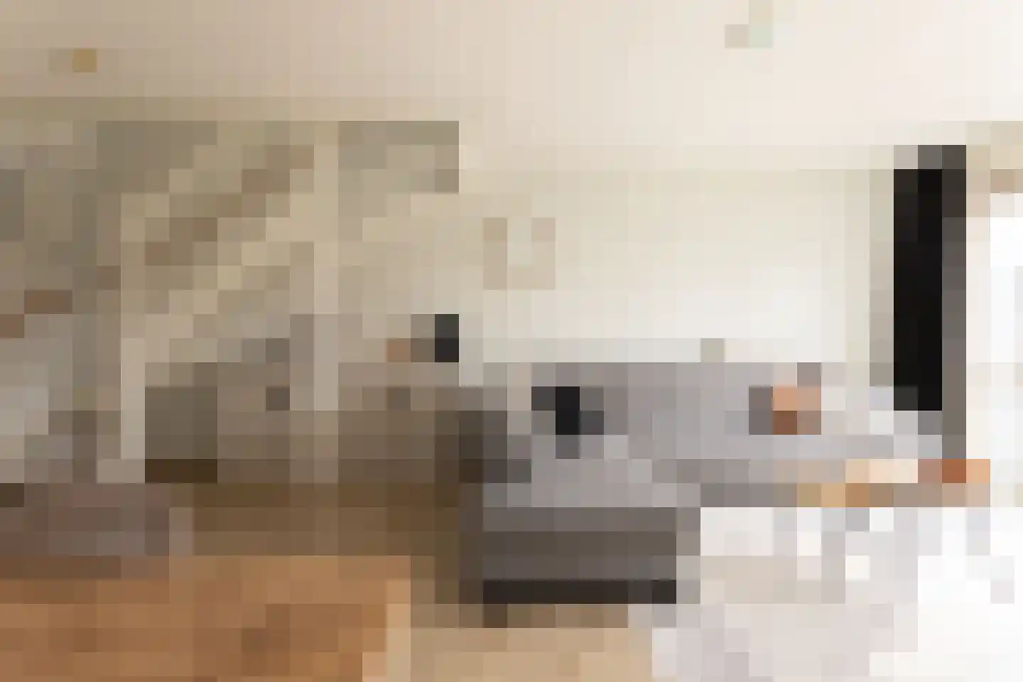 Tijm 24 Heerhugowaard thumbnail 7