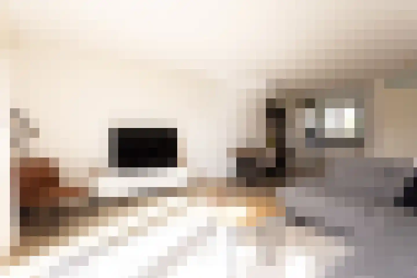 Tijm 24 Heerhugowaard thumbnail 8