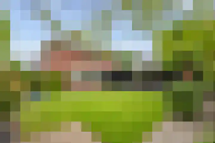 Tijm 3 Haaksbergen thumbnail 50