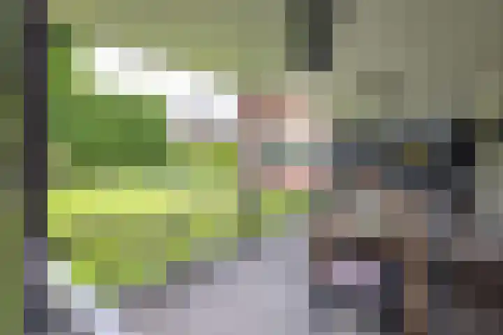 Tijm 3 Haaksbergen thumbnail 54