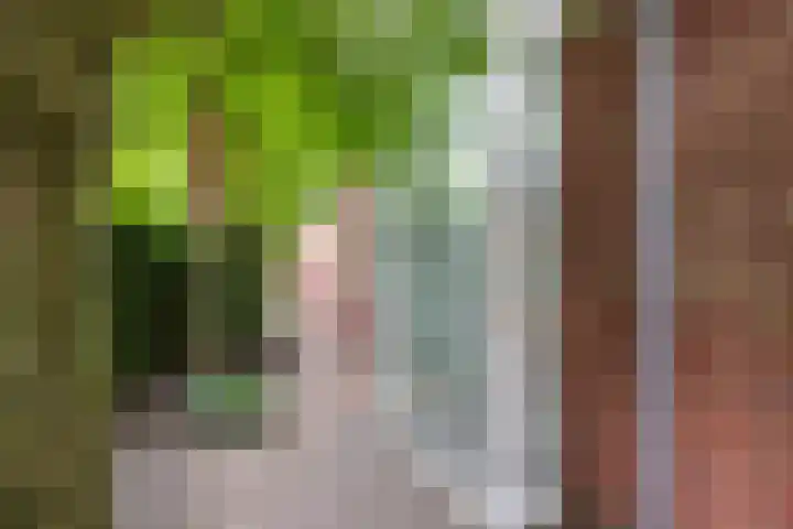 Tijm 3 Haaksbergen thumbnail 60
