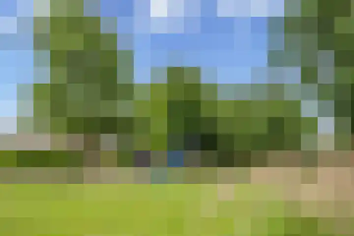 Tijm 3 Haaksbergen thumbnail 61
