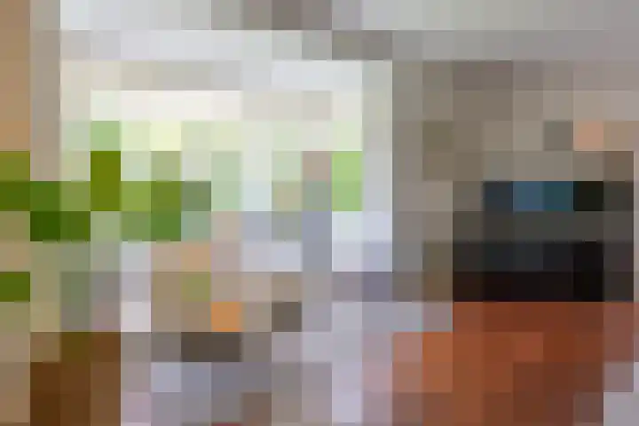 Tijm 3 Haaksbergen thumbnail 8