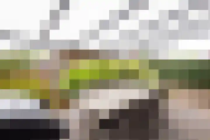 Tijm 30 Westerhaar-Vriezenveensewijk thumbnail 35