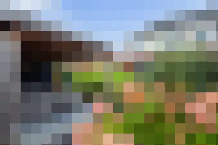 Tijm 30 Westerhaar-Vriezenveensewijk thumbnail 36