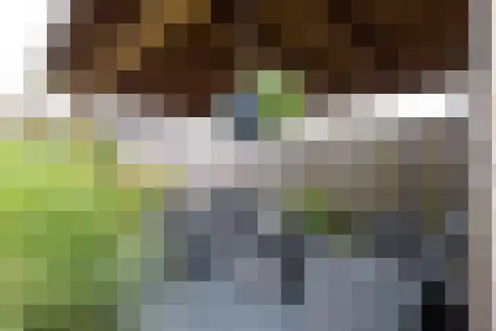 Tijm 30 Westerhaar-Vriezenveensewijk thumbnail 37