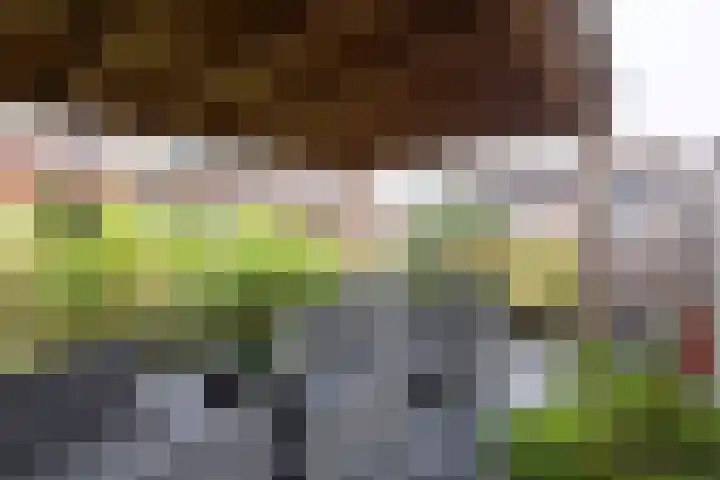 Tijm 30 Westerhaar-Vriezenveensewijk thumbnail 38