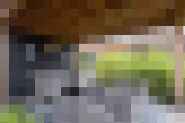 Tijm 30 Westerhaar-Vriezenveensewijk thumbnail 39