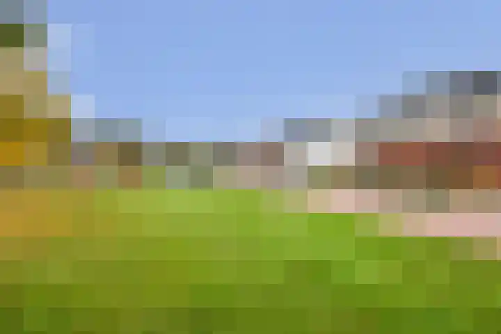 Tijm 30 Westerhaar-Vriezenveensewijk thumbnail 41