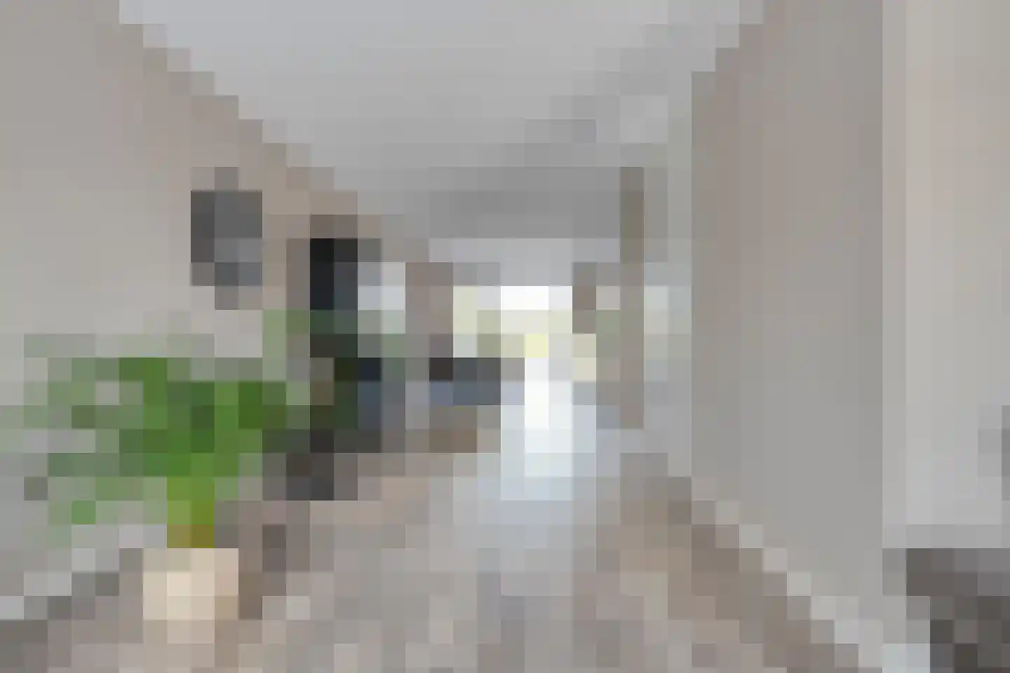 Tijm 31 Hardenberg thumbnail 11