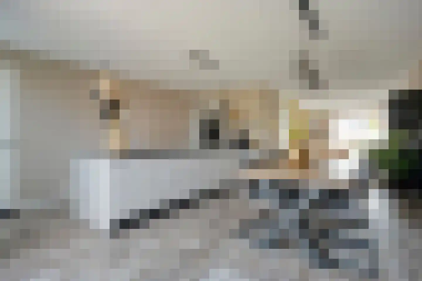 Tijm 31 Hardenberg thumbnail 15