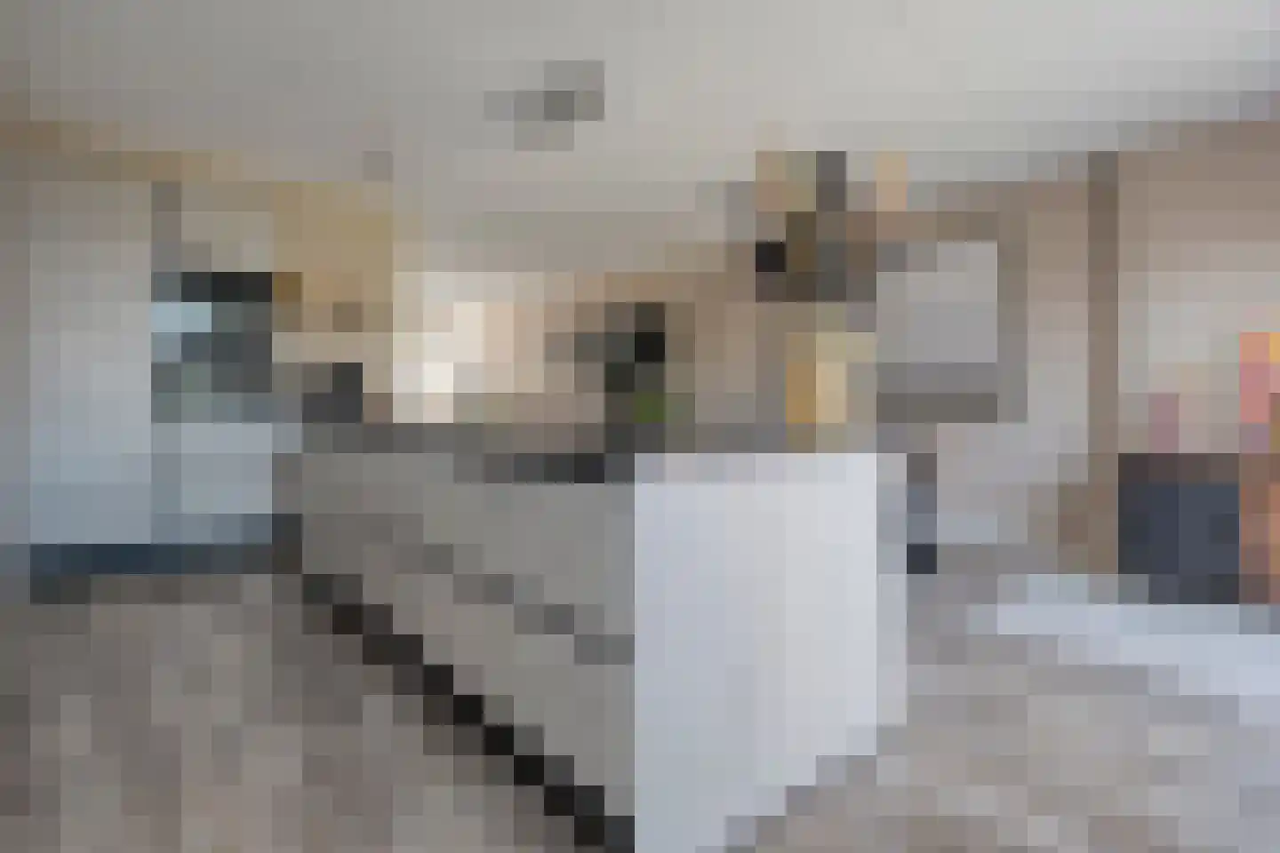 Tijm 31 Hardenberg thumbnail 16