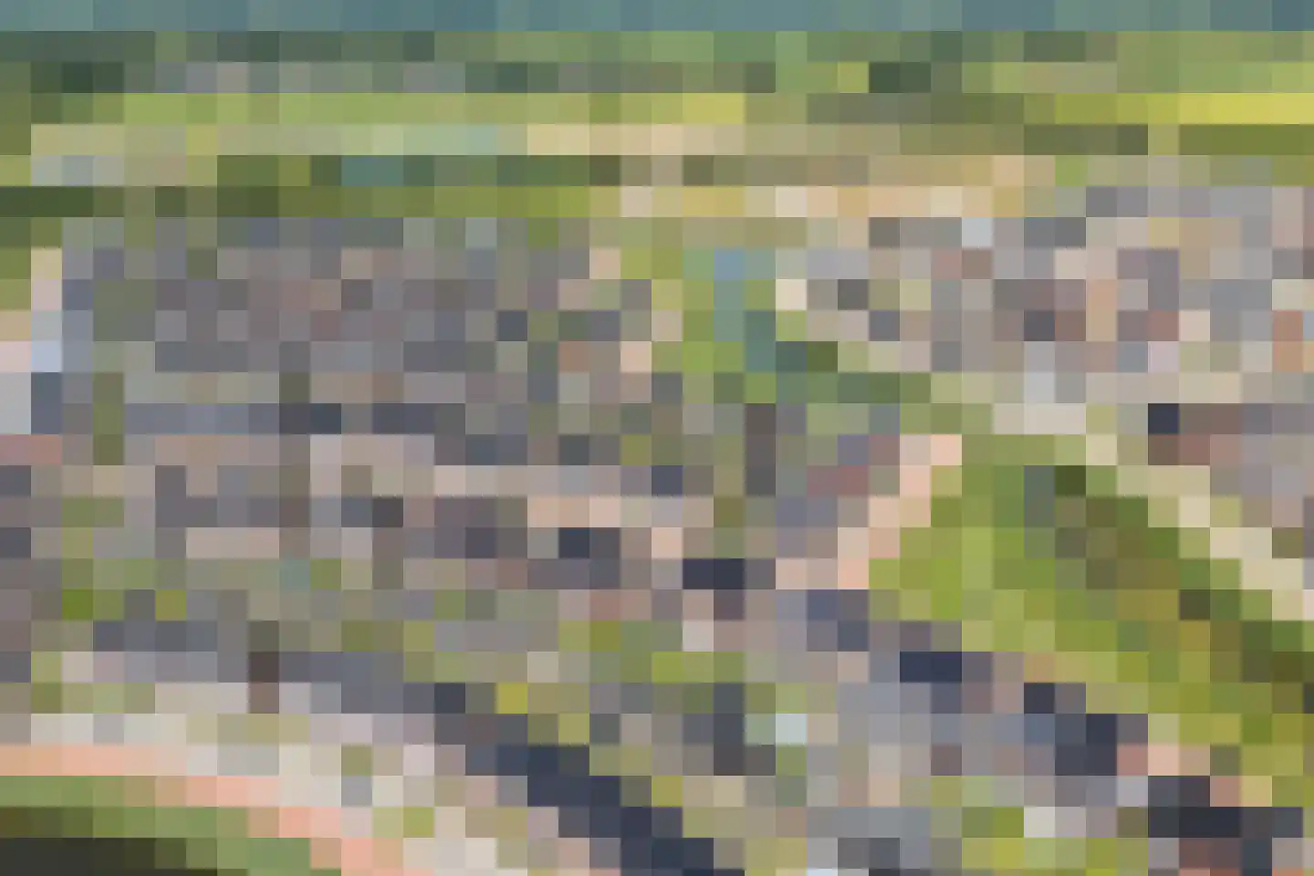 Tijm 31 Hardenberg thumbnail 45