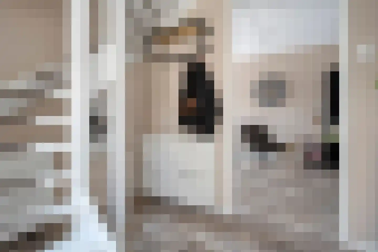 Tijm 31 Hardenberg thumbnail 6