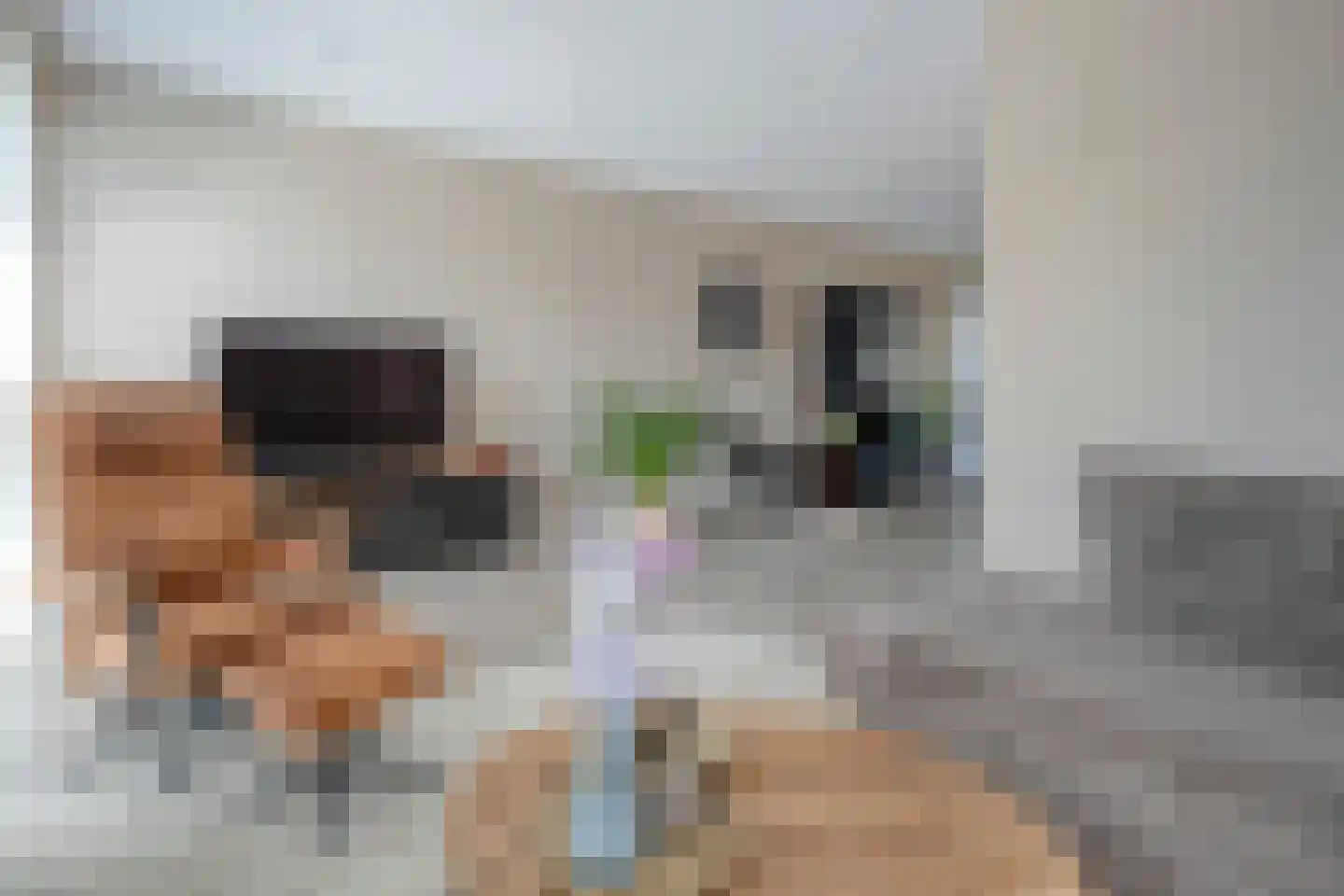 Tijm 31 Hardenberg thumbnail 7