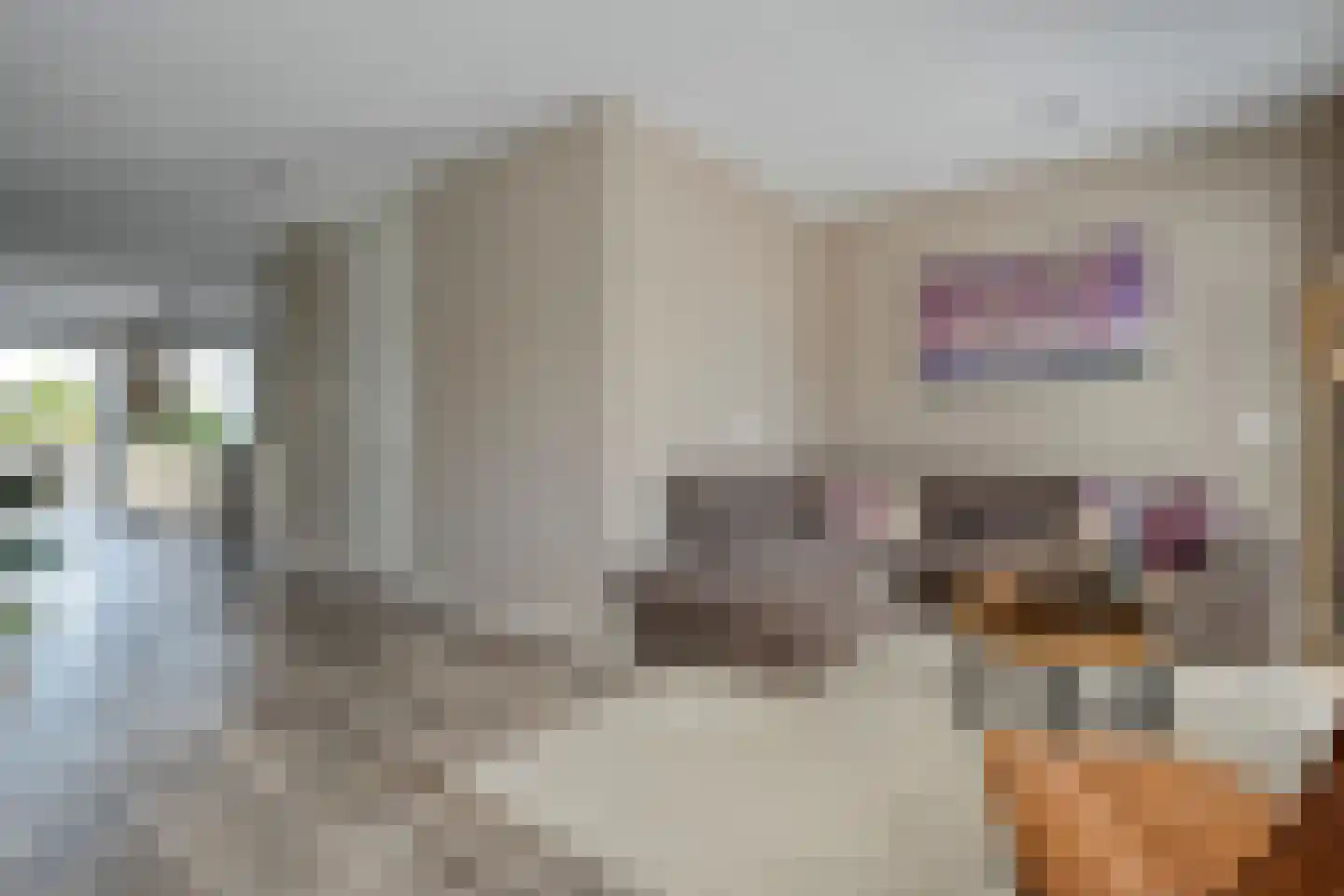 Tijm 31 Hardenberg thumbnail 8