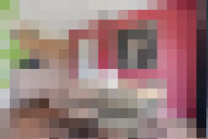 Tijm 33 Hardenberg thumbnail 11