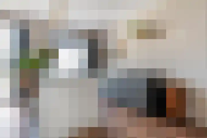 Tijm 33 Hardenberg thumbnail 14
