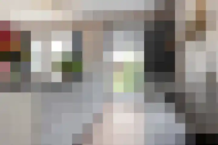 Tijm 33 Hardenberg thumbnail 15