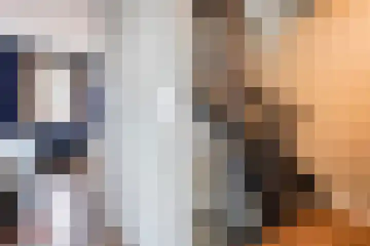 Tijm 33 Hardenberg thumbnail 17