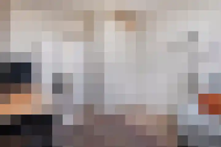 Tijm 33 Hardenberg thumbnail 25