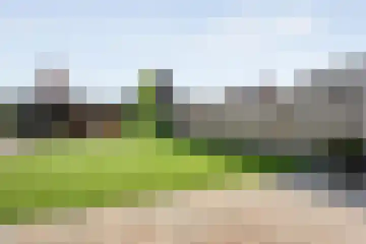 Tijm 33 Hardenberg thumbnail 28