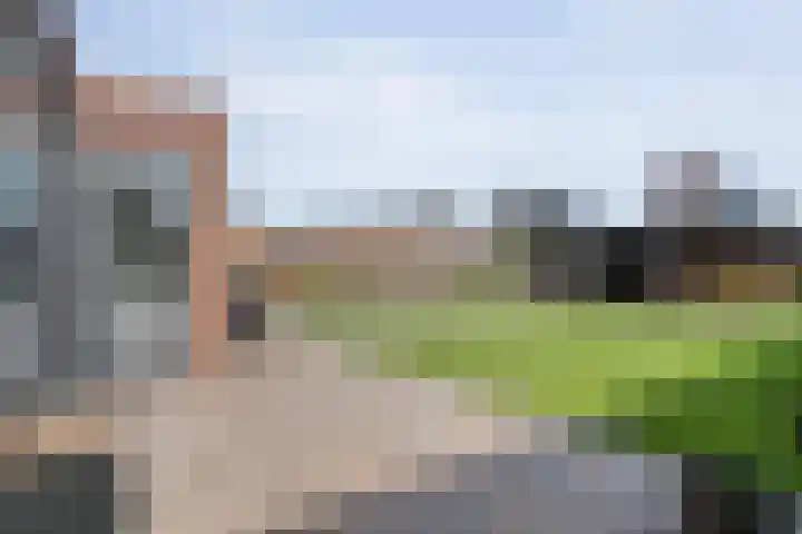 Tijm 33 Hardenberg thumbnail 29