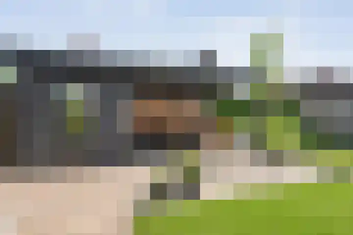 Tijm 33 Hardenberg thumbnail 30