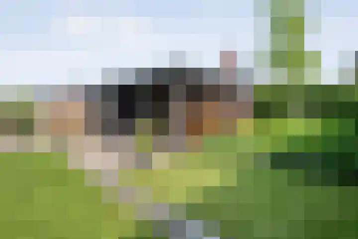 Tijm 33 Hardenberg thumbnail 31