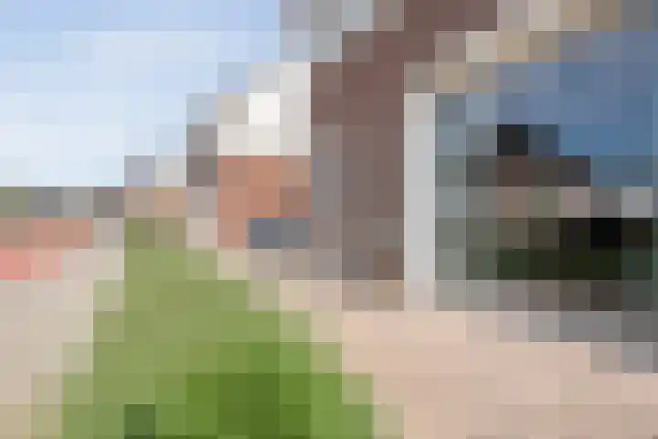 Tijm 33 Hardenberg thumbnail 32