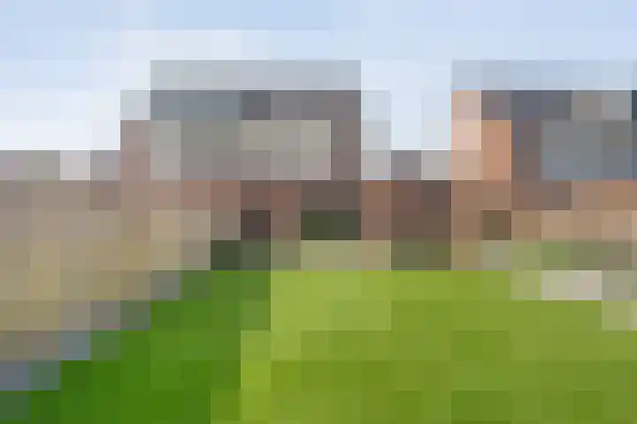 Tijm 33 Hardenberg thumbnail 33