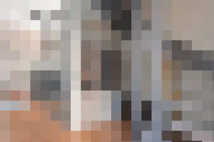 Tijm 33 Hardenberg thumbnail 5